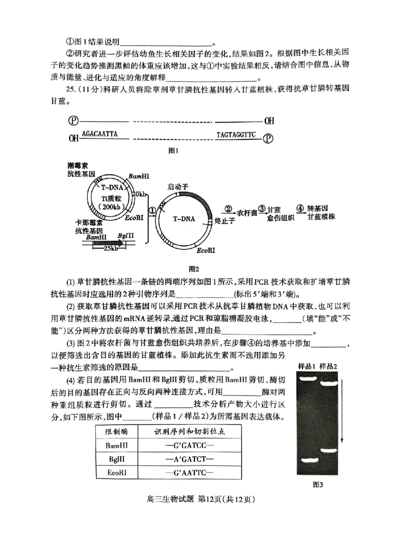 山东省泰安市2024年(届)高三年级四轮检测(泰安四模)生物试卷+答案(1)_2024年5月_025月合集_2024届山东省泰安市高三年级四轮检测