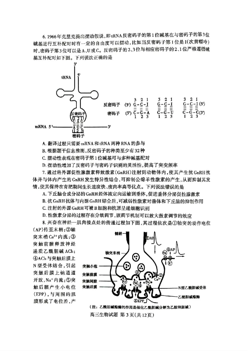 山东省泰安市2024年(届)高三年级四轮检测(泰安四模)生物试卷+答案(1)_2024年5月_025月合集_2024届山东省泰安市高三年级四轮检测