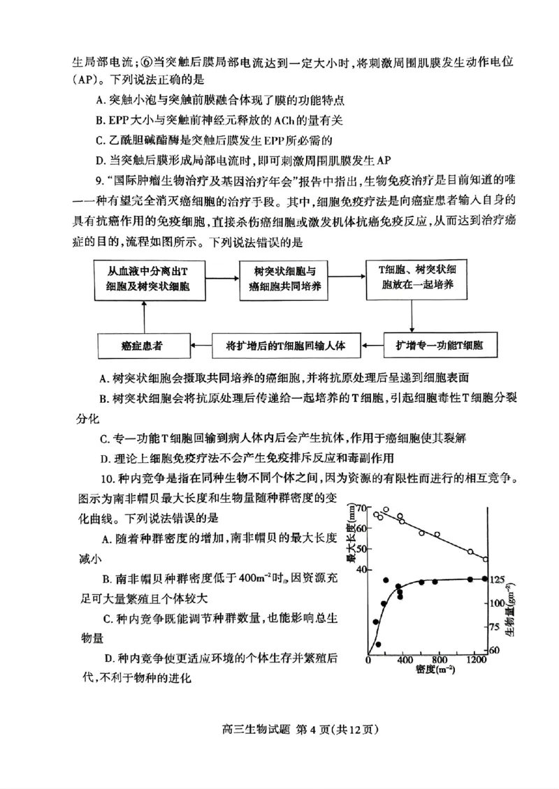 山东省泰安市2024年(届)高三年级四轮检测(泰安四模)生物试卷+答案(1)_2024年5月_025月合集_2024届山东省泰安市高三年级四轮检测