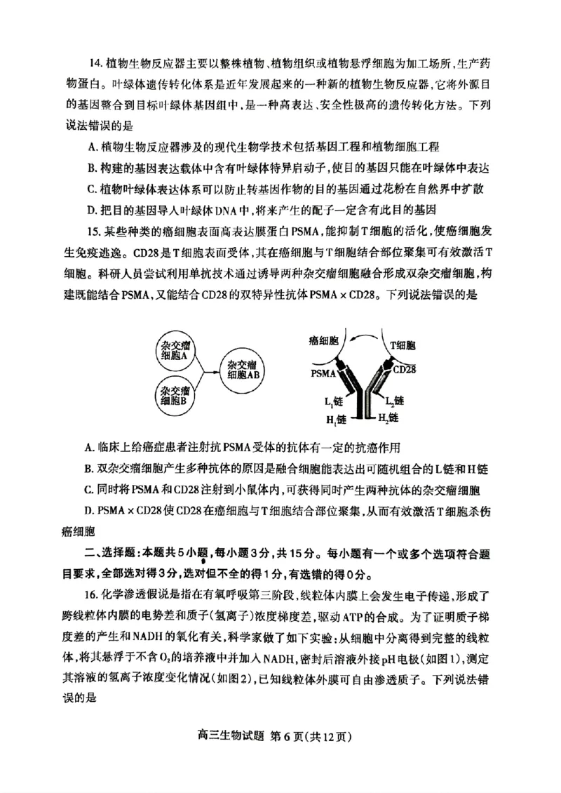 山东省泰安市2024年(届)高三年级四轮检测(泰安四模)生物试卷+答案(1)_2024年5月_025月合集_2024届山东省泰安市高三年级四轮检测