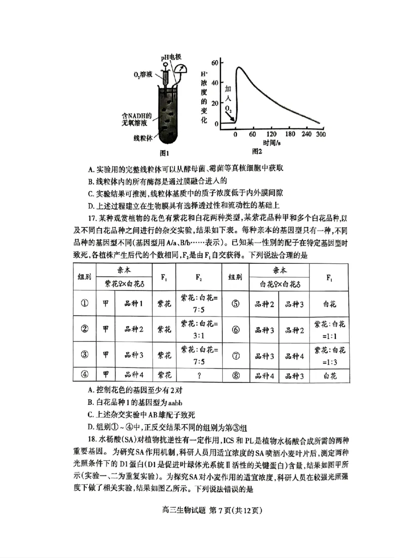 山东省泰安市2024年(届)高三年级四轮检测(泰安四模)生物试卷+答案(1)_2024年5月_025月合集_2024届山东省泰安市高三年级四轮检测