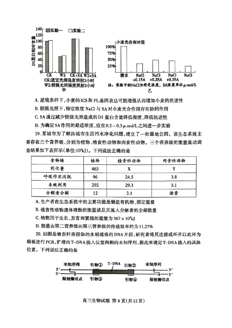 山东省泰安市2024年(届)高三年级四轮检测(泰安四模)生物试卷+答案(1)_2024年5月_025月合集_2024届山东省泰安市高三年级四轮检测