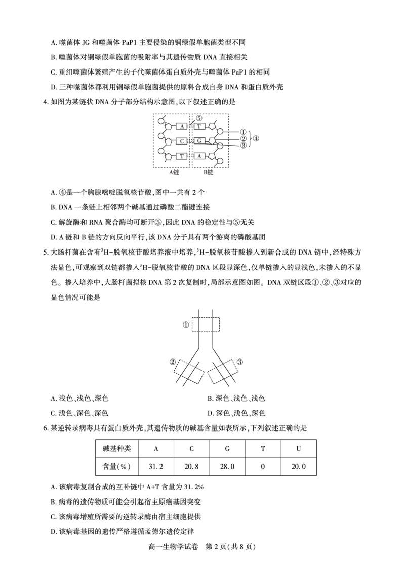 湖北省武汉市七彩联盟2024-2025学年度下学期高一年级6月联考生物_2024-2025高一（7-7月题库）_2025年7月_250702湖北省武汉市七彩联盟2024-2025学年度下学期高一年级6月联考