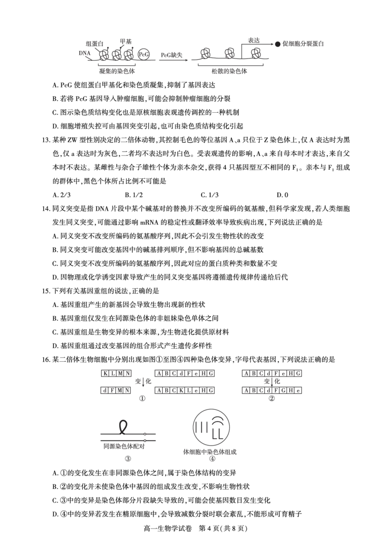 湖北省武汉市七彩联盟2024-2025学年度下学期高一年级6月联考生物_2024-2025高一（7-7月题库）_2025年7月_250702湖北省武汉市七彩联盟2024-2025学年度下学期高一年级6月联考