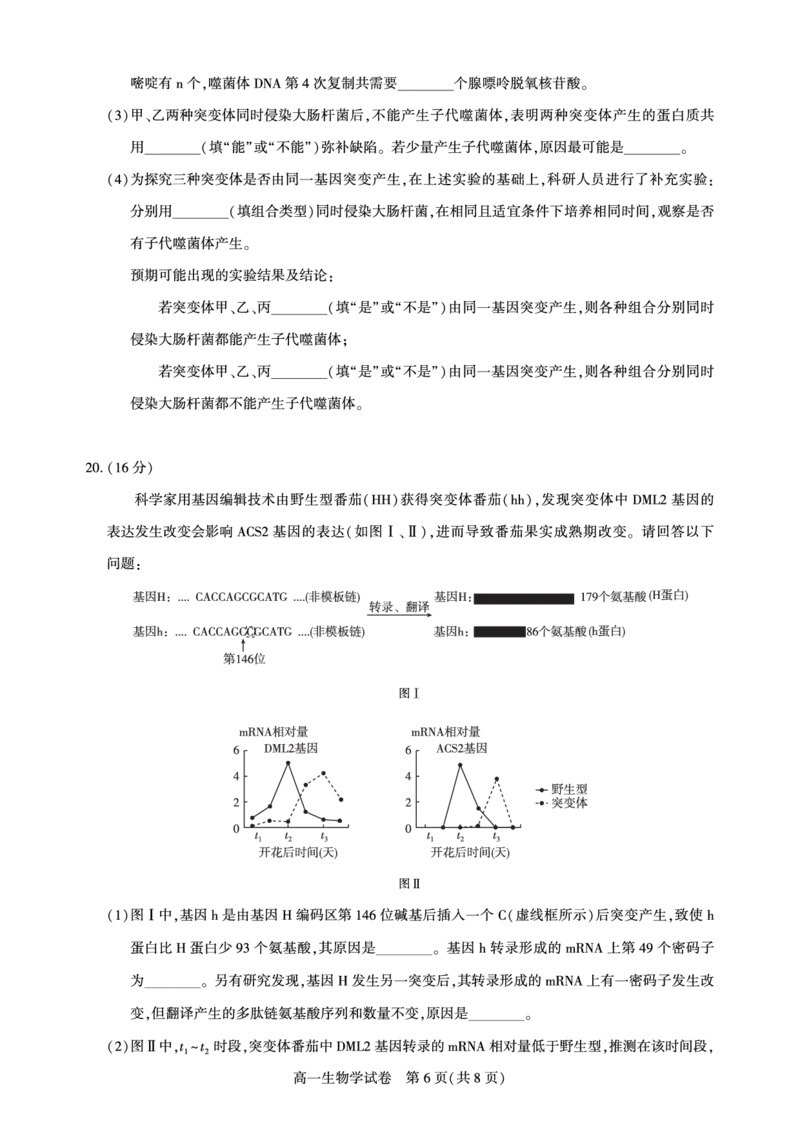 湖北省武汉市七彩联盟2024-2025学年度下学期高一年级6月联考生物_2024-2025高一（7-7月题库）_2025年7月_250702湖北省武汉市七彩联盟2024-2025学年度下学期高一年级6月联考