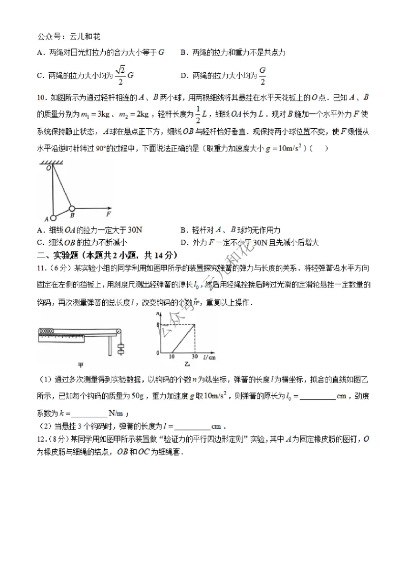 河北省沧州四县联考2024-2025学年高一上学期11月月考试题物理Word版含解析_2024-2025高一（7-7月题库）_2024年12月试卷_1227河北省沧州四县联考2024-2025学年高一上学期11月月考
