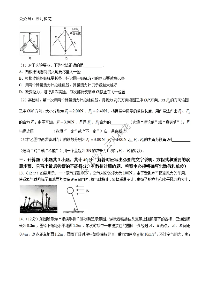 河北省沧州四县联考2024-2025学年高一上学期11月月考试题物理Word版含解析_2024-2025高一（7-7月题库）_2024年12月试卷_1227河北省沧州四县联考2024-2025学年高一上学期11月月考