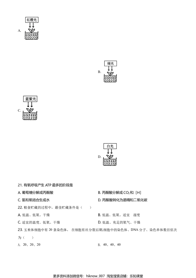 精品解析：江苏省南京市外国语学校高一上生物期末生物试题（原卷版）_E015高中全科试卷_生物试题_必修1_4.期末试卷_2.各地真题