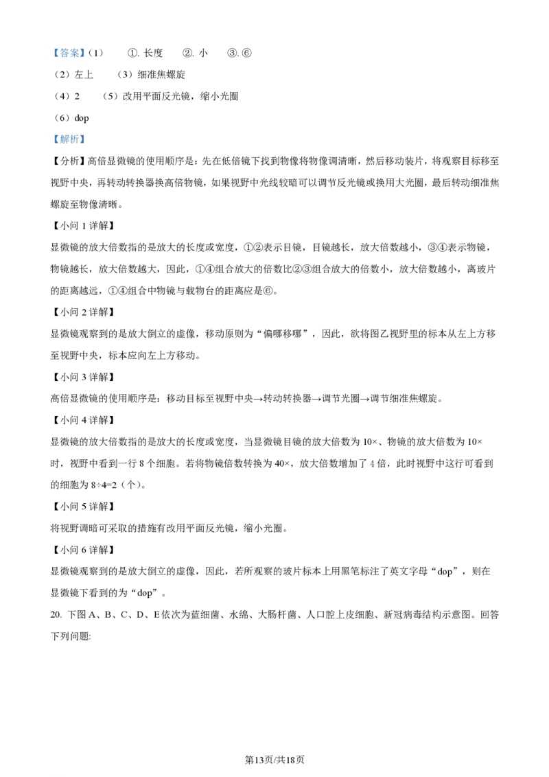 生物-江西省名校联盟2023-2024学年高一上学期10月质量检测_2024-2025高一（7-7月题库）_2024年10月试卷_1010江西省名校联盟2023-2024学年高一上学期10月质量检测
