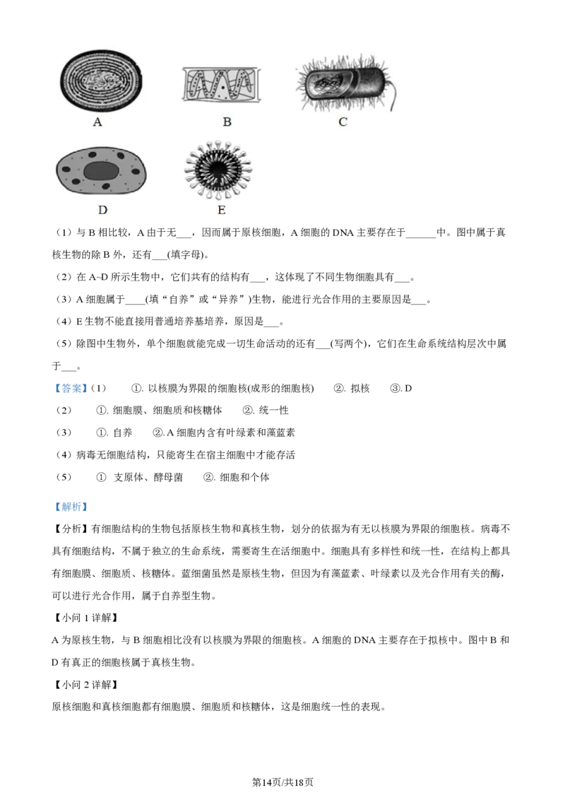 生物-江西省名校联盟2023-2024学年高一上学期10月质量检测_2024-2025高一（7-7月题库）_2024年10月试卷_1010江西省名校联盟2023-2024学年高一上学期10月质量检测