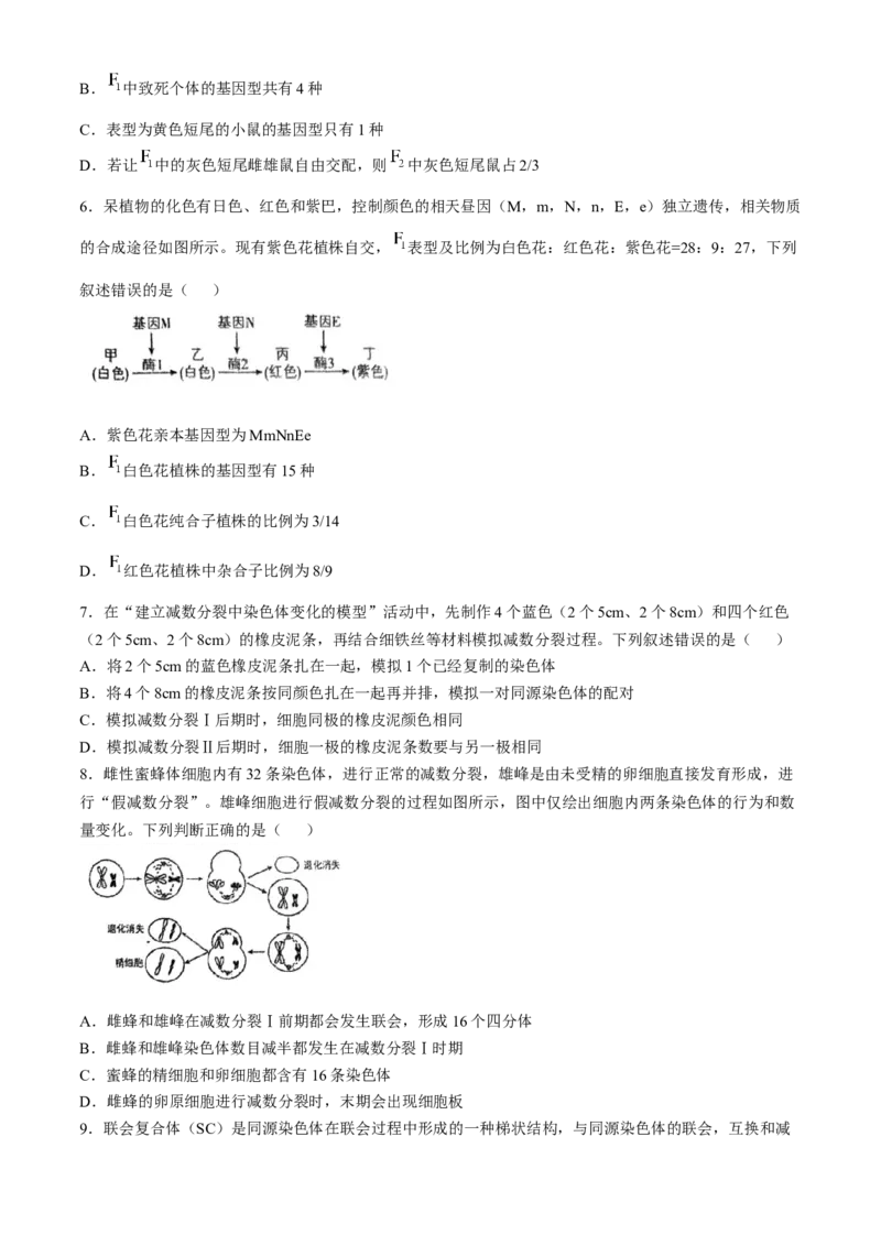 河南省南阳市方城县方城县第一高级中学2024-2025学年高一下学期3月月考生物试题（含答案）_2024-2025高一（7-7月题库）_2025年04月试卷