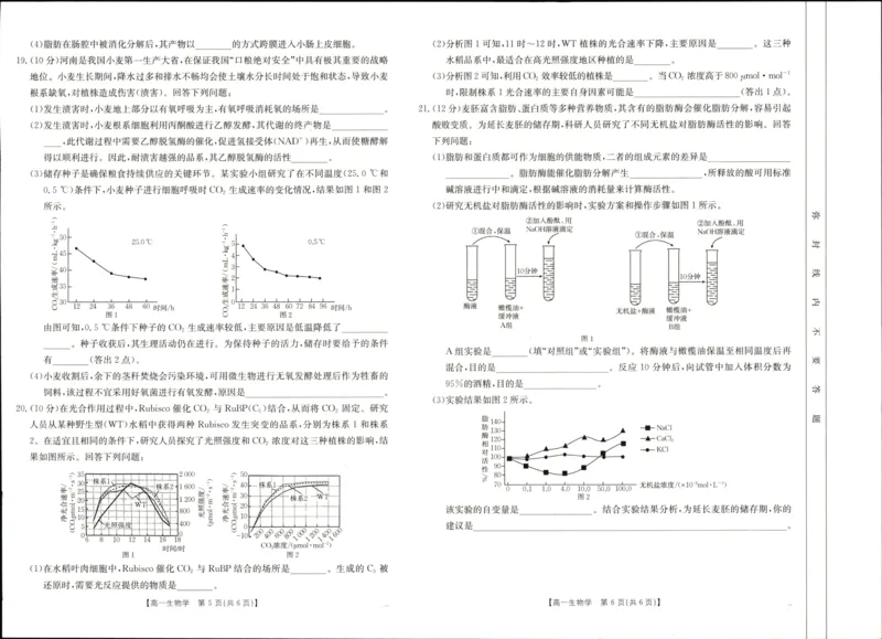 河南省新乡市2024-2025学年高一上学期期末考试生物PDF版无答案_2024-2025高一（7-7月题库）_2025年01月试卷_0126河南省新乡市2024-2025学年高一上学期期末考试