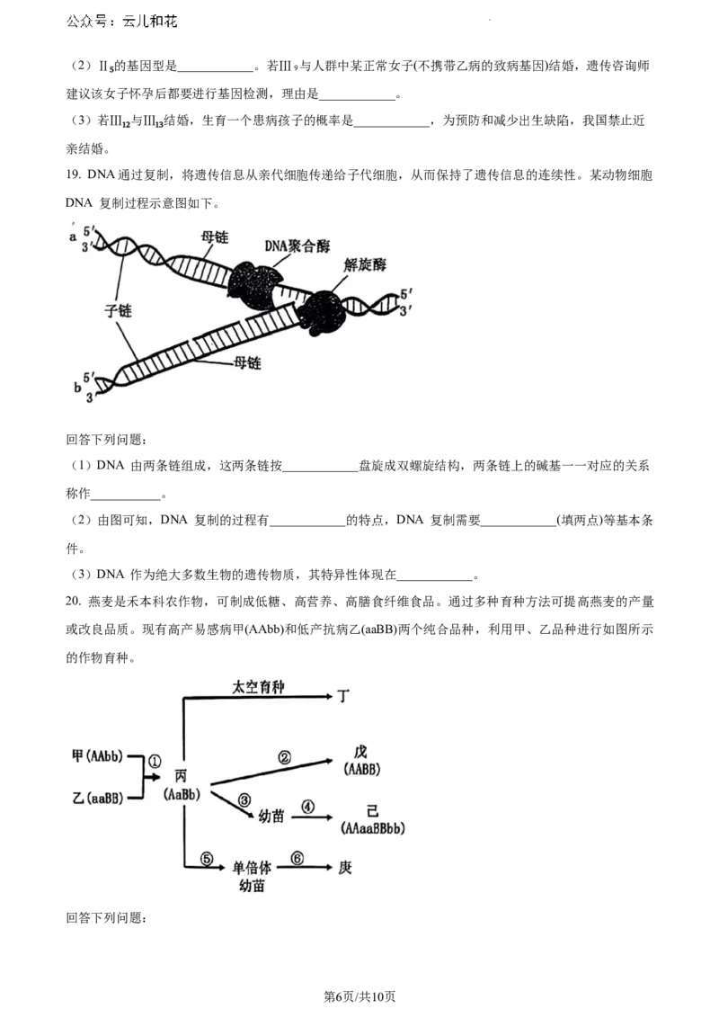 贵州省六盘水市2023-2024学年高一下学期7月期末生物试题_2024-2025高一（7-7月题库）_2024年7月试卷_0724贵州省六盘水市2023-2024学年高一下学期7月期末