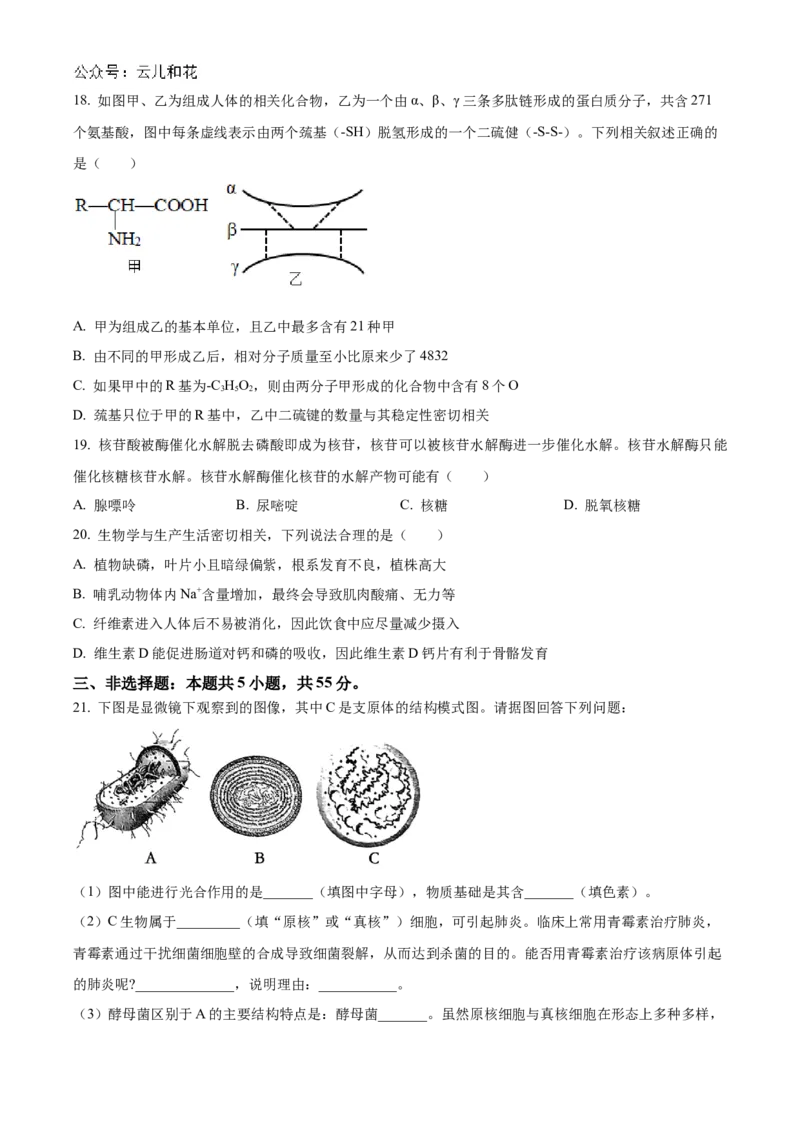 辽宁省辽东南协作体2024-2025学年高一上学期10月月考生物试卷Word版无答案_2024-2025高一（7-7月题库）_2024年10月试卷_1031辽宁省辽东南协作体2024-2025学年高一上学期10月联考