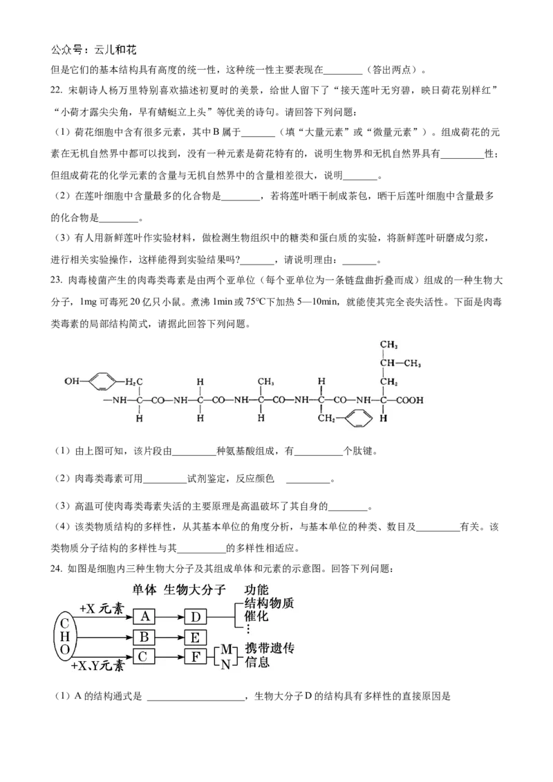 辽宁省辽东南协作体2024-2025学年高一上学期10月月考生物试卷Word版无答案_2024-2025高一（7-7月题库）_2024年10月试卷_1031辽宁省辽东南协作体2024-2025学年高一上学期10月联考