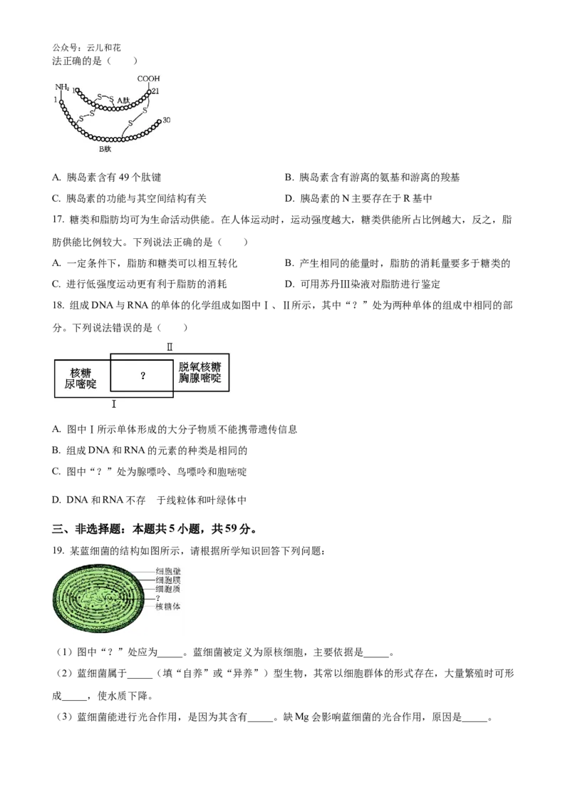河北省廊坊市2024-2025学年高一上学期10月月考试题生物Word版含答案_2024-2025高一（7-7月题库）_2024年10月试卷_1028河北省廊坊市2024-2025学年高一上学期10月月考