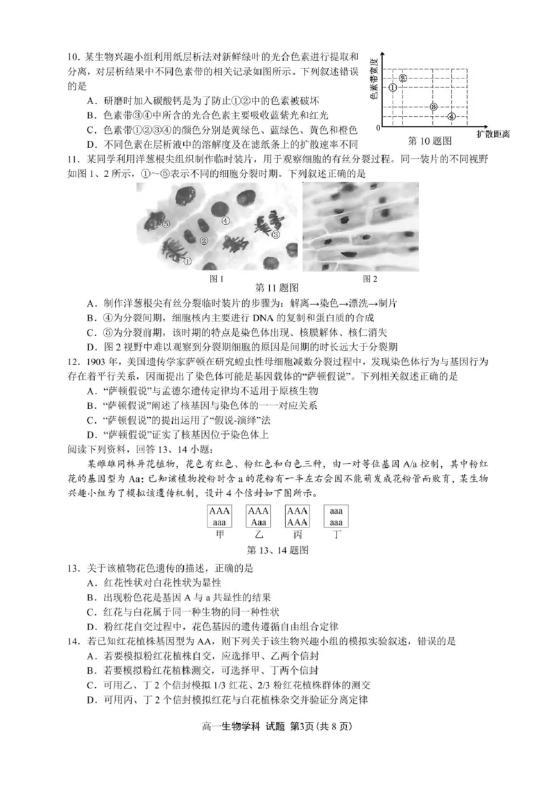 浙江省浙南名校2024-2025学年高一下学期4月期中联考生物试卷（PDF版，含答案）_2024-2025高一（7-7月题库）_2025年05月试卷_0522浙江省浙南名校2024-2025学年高一下学期4月期中联考试题