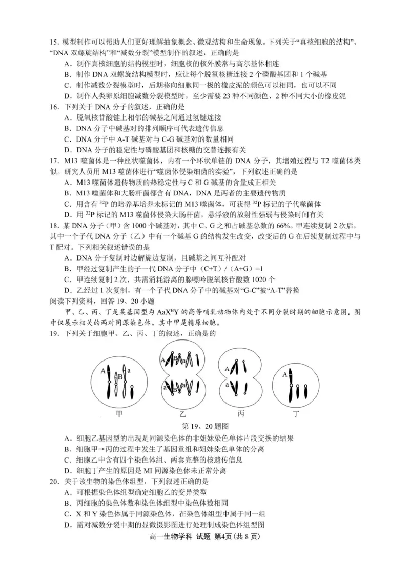 浙江省浙南名校2024-2025学年高一下学期4月期中联考生物试卷（PDF版，含答案）_2024-2025高一（7-7月题库）_2025年05月试卷_0522浙江省浙南名校2024-2025学年高一下学期4月期中联考试题