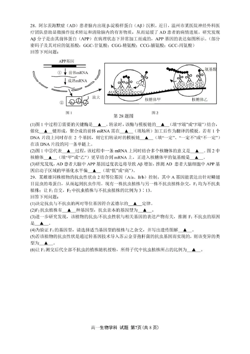 浙江省浙南名校2024-2025学年高一下学期4月期中联考生物试卷（PDF版，含答案）_2024-2025高一（7-7月题库）_2025年05月试卷_0522浙江省浙南名校2024-2025学年高一下学期4月期中联考试题