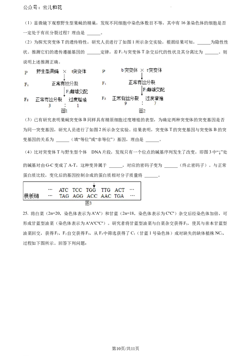 辽宁省沈阳市五校协作体2023-2024学年高一下学期期末联考生物试题（原卷版）_2024-2025高一（7-7月题库）_2024年8月试卷_0824辽宁省沈阳市五校协作体2023-2024学年高一下学期期末联考