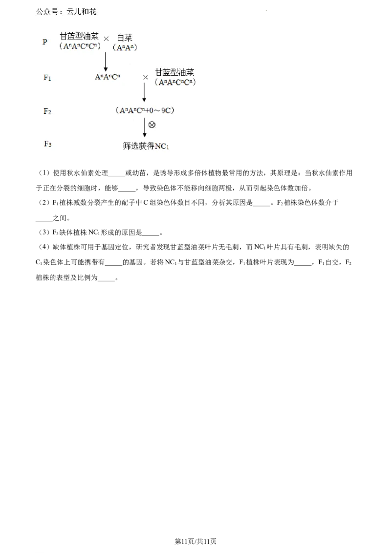 辽宁省沈阳市五校协作体2023-2024学年高一下学期期末联考生物试题（原卷版）_2024-2025高一（7-7月题库）_2024年8月试卷_0824辽宁省沈阳市五校协作体2023-2024学年高一下学期期末联考