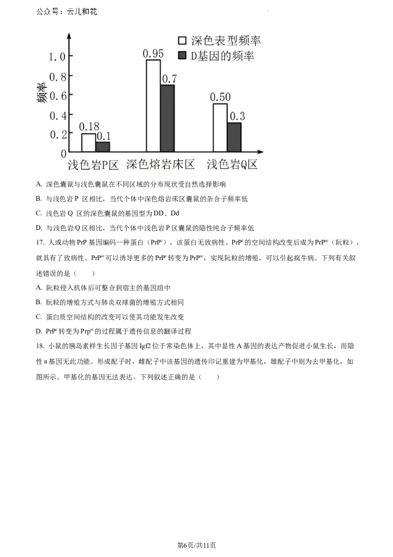 辽宁省沈阳市五校协作体2023-2024学年高一下学期期末联考生物试题（原卷版）_2024-2025高一（7-7月题库）_2024年8月试卷_0824辽宁省沈阳市五校协作体2023-2024学年高一下学期期末联考