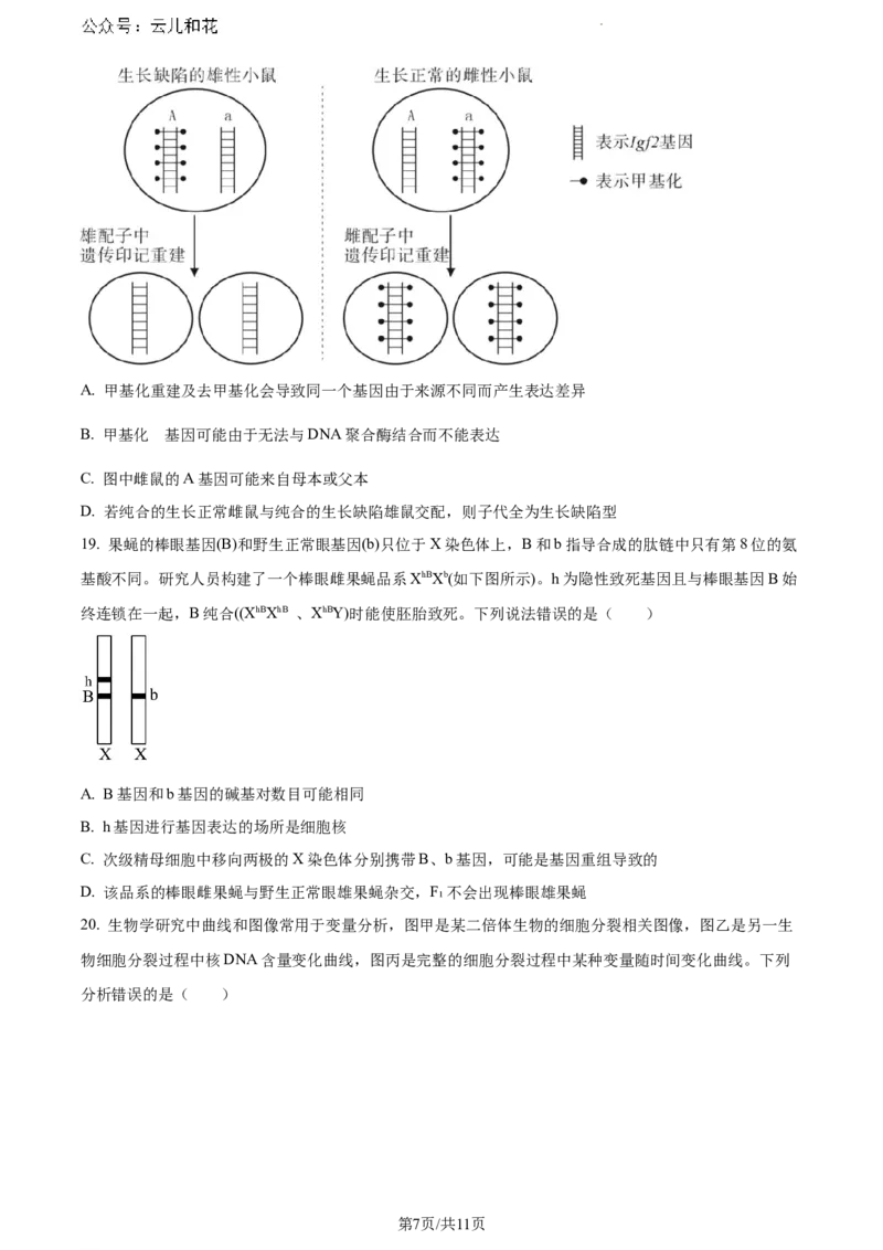 辽宁省沈阳市五校协作体2023-2024学年高一下学期期末联考生物试题（原卷版）_2024-2025高一（7-7月题库）_2024年8月试卷_0824辽宁省沈阳市五校协作体2023-2024学年高一下学期期末联考