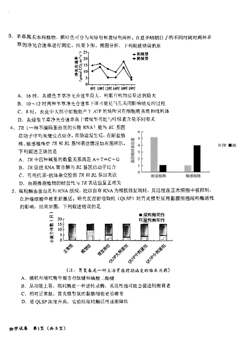 吉林省东北师大附中、长春市十一高中、吉林一中、四平一中、松原实验中学2024届高三上学期1月联合模拟考试生物(1)_2024年2月_022月合集