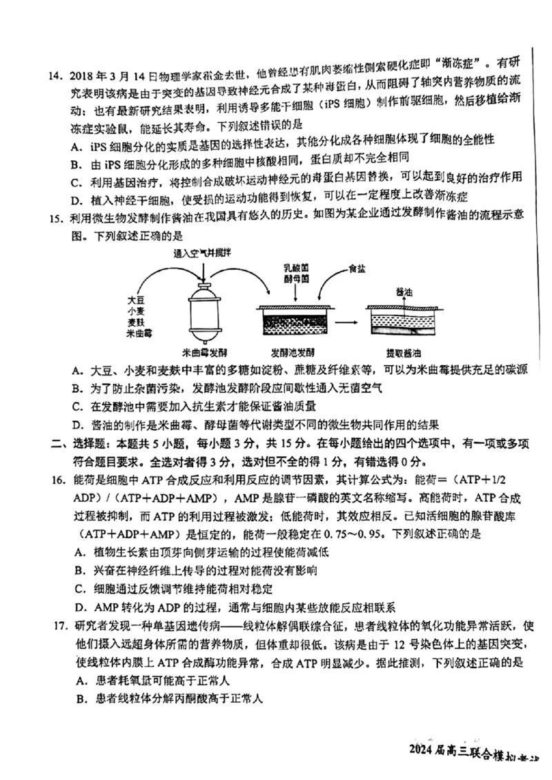 吉林省东北师大附中、长春市十一高中、吉林一中、四平一中、松原实验中学2024届高三上学期1月联合模拟考试生物(1)_2024年2月_022月合集