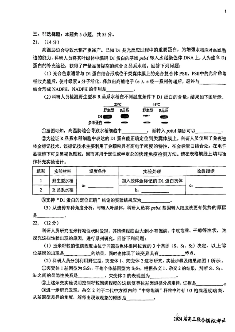 吉林省东北师大附中、长春市十一高中、吉林一中、四平一中、松原实验中学2024届高三上学期1月联合模拟考试生物(1)_2024年2月_022月合集