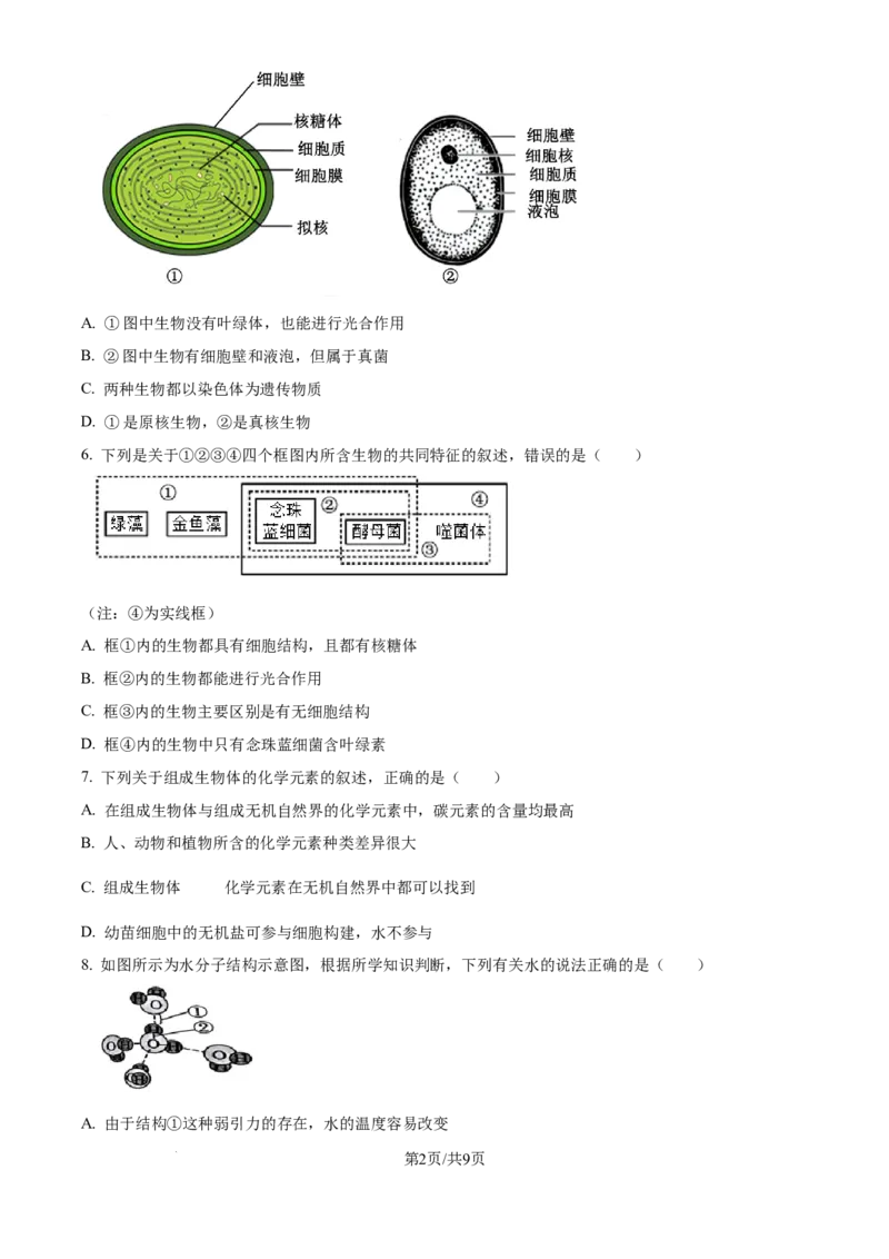 湖北省鄂东南省级示范高中2024-2025学年高一上学期起点考试生物试题_2024-2025高一（7-7月题库）_2024年10月试卷_1027湖北省2024年秋季鄂东南联盟学校高一年级10月起点考试