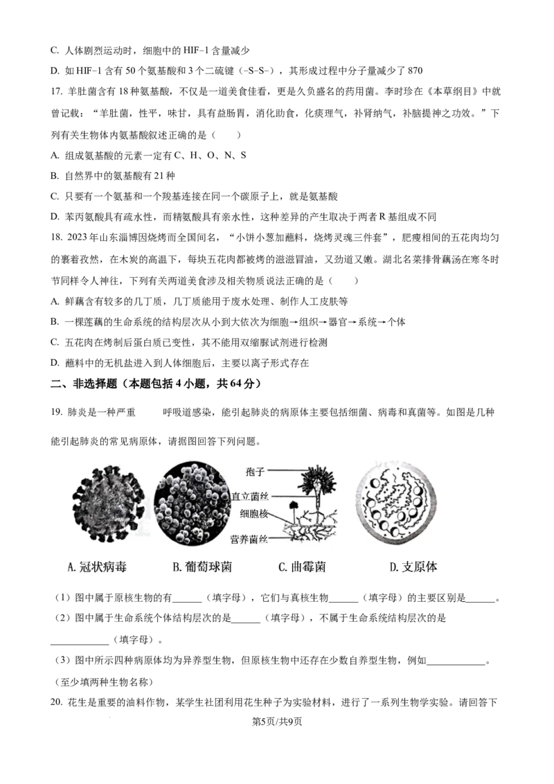 湖北省鄂东南省级示范高中2024-2025学年高一上学期起点考试生物试题_2024-2025高一（7-7月题库）_2024年10月试卷_1027湖北省2024年秋季鄂东南联盟学校高一年级10月起点考试