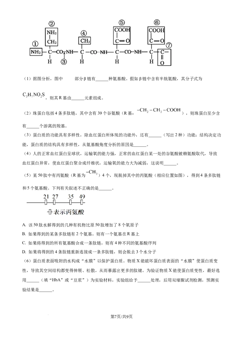 湖北省鄂东南省级示范高中2024-2025学年高一上学期起点考试生物试题_2024-2025高一（7-7月题库）_2024年10月试卷_1027湖北省2024年秋季鄂东南联盟学校高一年级10月起点考试