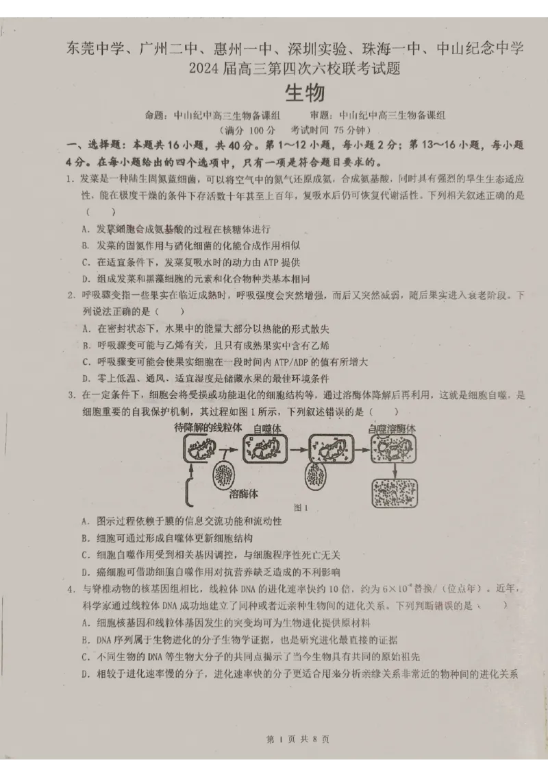 广东省东莞中学、广州二中、惠州一中、深圳实验、珠海一中、中山纪念中学2024届高三第四次六校联考生物_2024年2月_01每日更新_28号