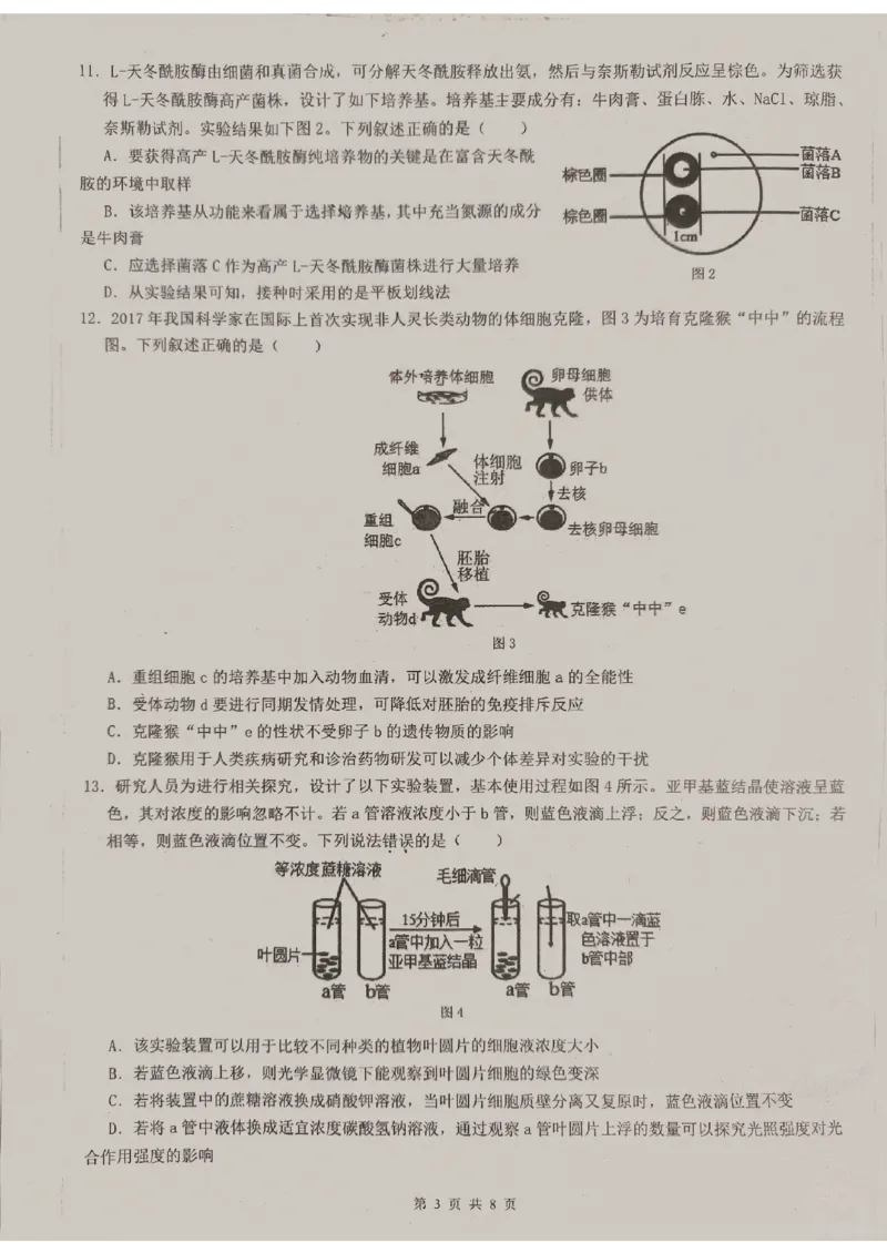 广东省东莞中学、广州二中、惠州一中、深圳实验、珠海一中、中山纪念中学2024届高三第四次六校联考生物_2024年2月_01每日更新_28号