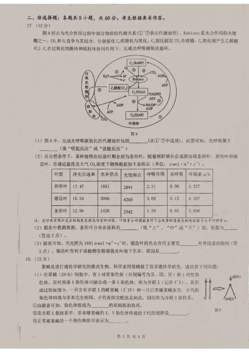 广东省东莞中学、广州二中、惠州一中、深圳实验、珠海一中、中山纪念中学2024届高三第四次六校联考生物_2024年2月_01每日更新_28号