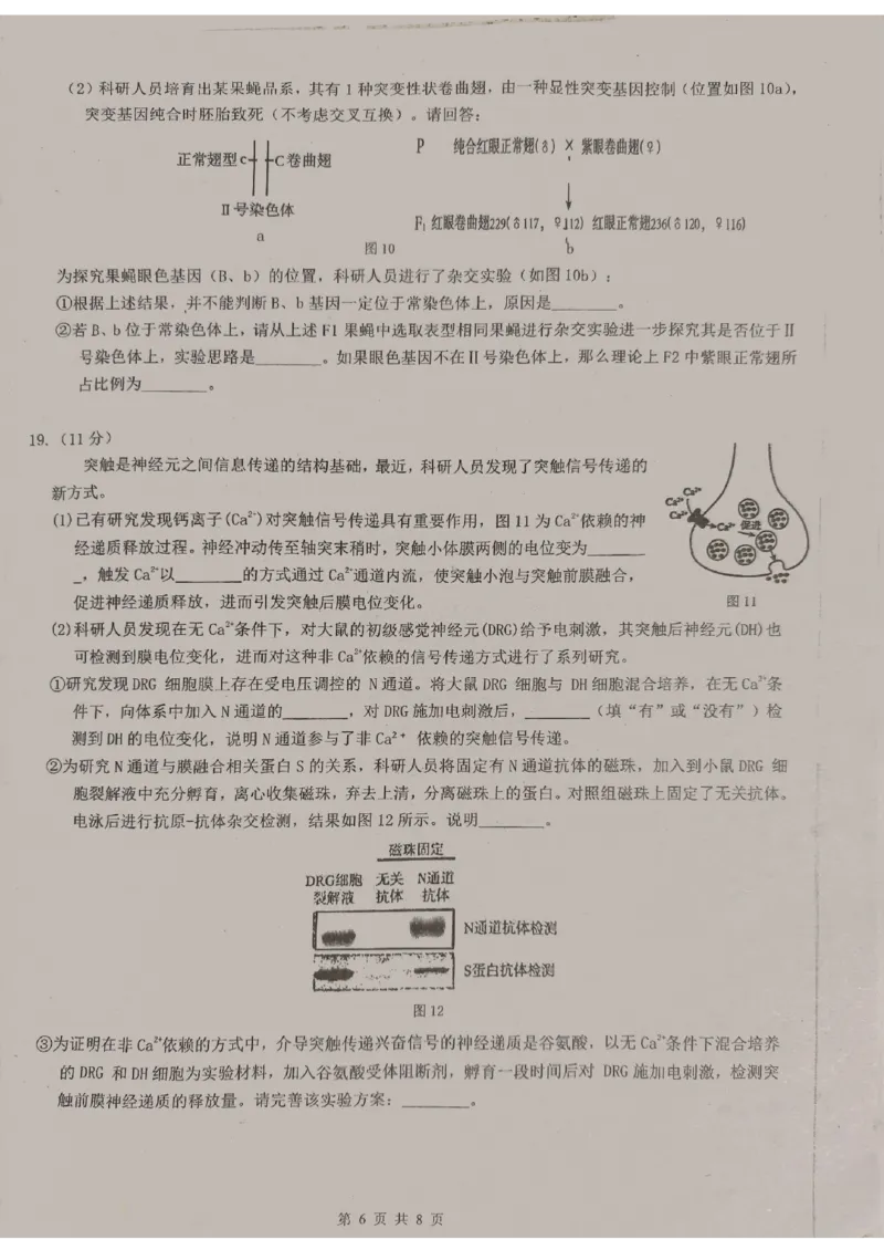 广东省东莞中学、广州二中、惠州一中、深圳实验、珠海一中、中山纪念中学2024届高三第四次六校联考生物_2024年2月_01每日更新_28号