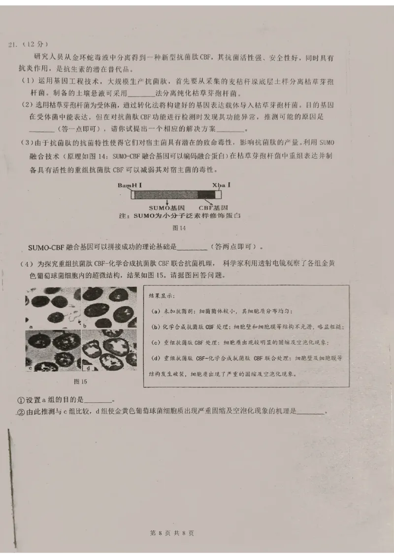 广东省东莞中学、广州二中、惠州一中、深圳实验、珠海一中、中山纪念中学2024届高三第四次六校联考生物_2024年2月_01每日更新_28号