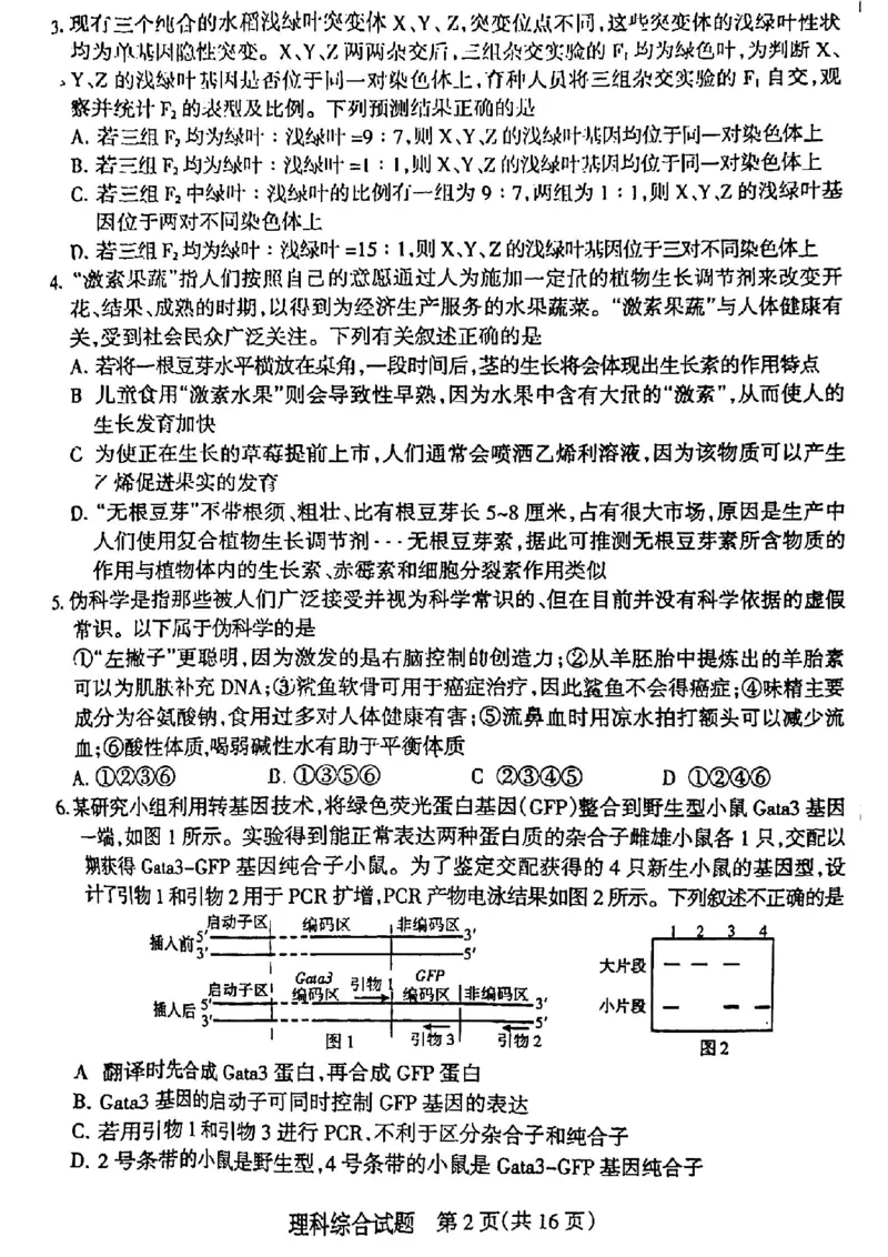 山西省阳泉市2024届高三下学期第三次模拟测试理科综合试题_2024年5月_01按日期_21号_2024届山西省阳泉市高三下学期第三次模拟测试