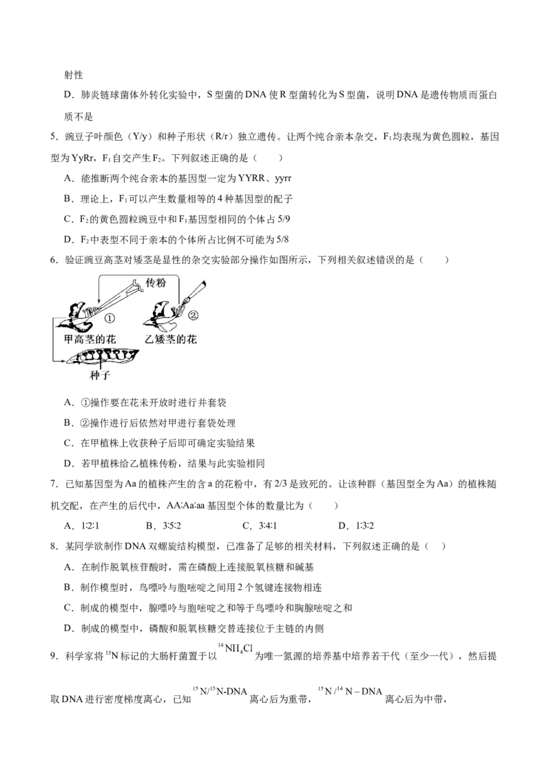 福建省福州第一中学2024-2025学年高一下学期期中考试生物Word版含答案_2024-2025高一（7-7月题库）_2025年05月试卷_0519福建省福州第一中学2024-2025学年高一下学期期中考试