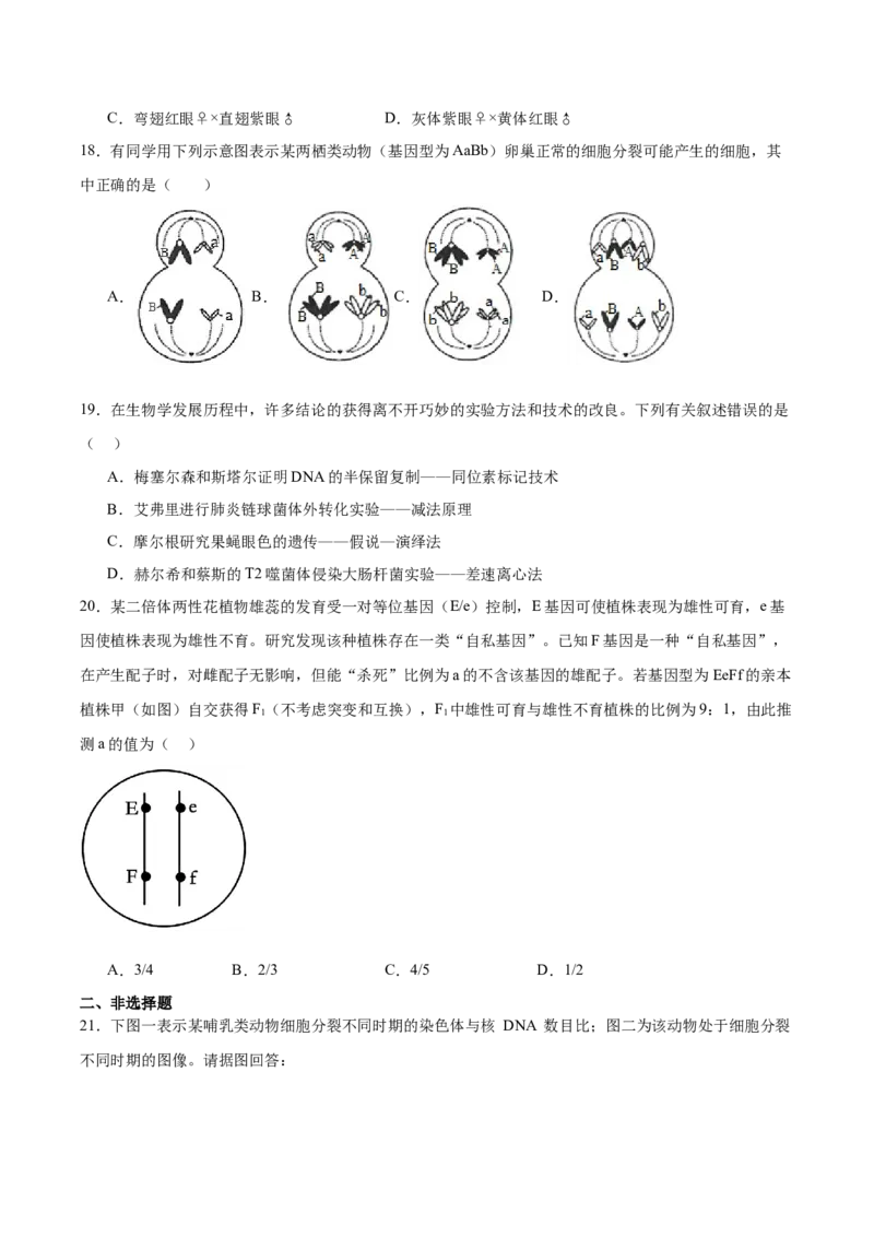 福建省福州第一中学2024-2025学年高一下学期期中考试生物Word版含答案_2024-2025高一（7-7月题库）_2025年05月试卷_0519福建省福州第一中学2024-2025学年高一下学期期中考试