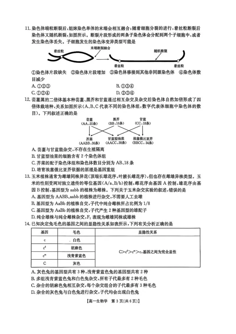 河南省新乡市2024-2025学年高一下学期7月期末测试生物试卷（扫描版，有解析）_2024-2025高一（7-7月题库）_2025年7月_250709河南省新乡市2024-2025学年高一下学期7月期末测试