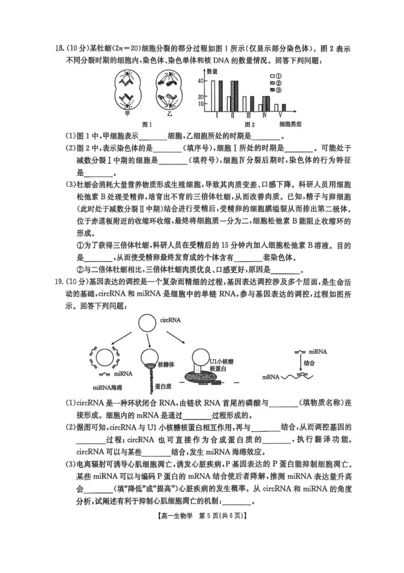 河南省新乡市2024-2025学年高一下学期7月期末测试生物试卷（扫描版，有解析）_2024-2025高一（7-7月题库）_2025年7月_250709河南省新乡市2024-2025学年高一下学期7月期末测试