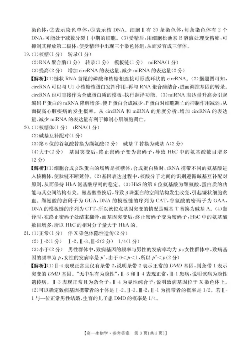 河南省新乡市2024-2025学年高一下学期7月期末测试生物试卷（扫描版，有解析）_2024-2025高一（7-7月题库）_2025年7月_250709河南省新乡市2024-2025学年高一下学期7月期末测试
