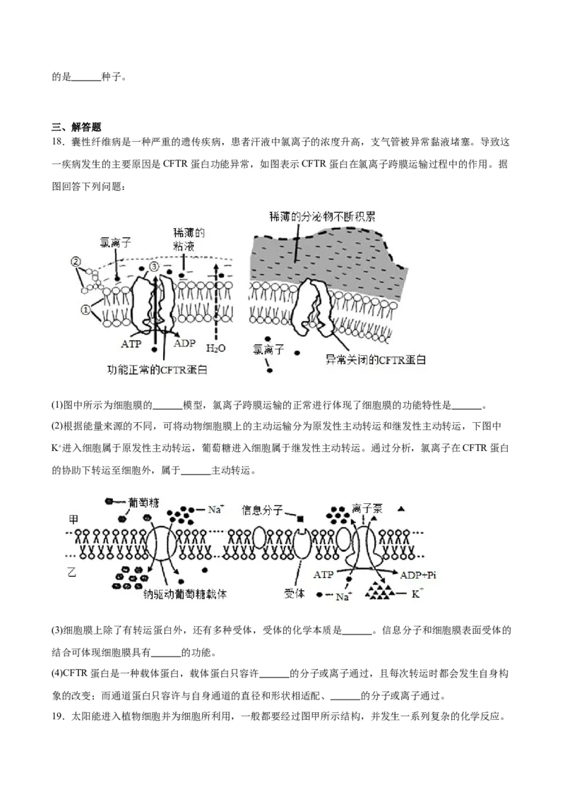 甘肃省酒泉市普通高中2025-2026学年高一上学期1月期末考试生物试卷（含答案）_2024-2025高一（7-7月题库）_2026年1月高一