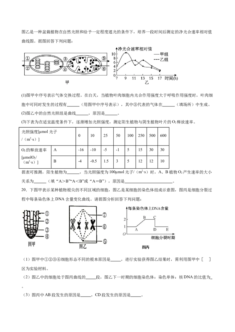 甘肃省酒泉市普通高中2025-2026学年高一上学期1月期末考试生物试卷（含答案）_2024-2025高一（7-7月题库）_2026年1月高一