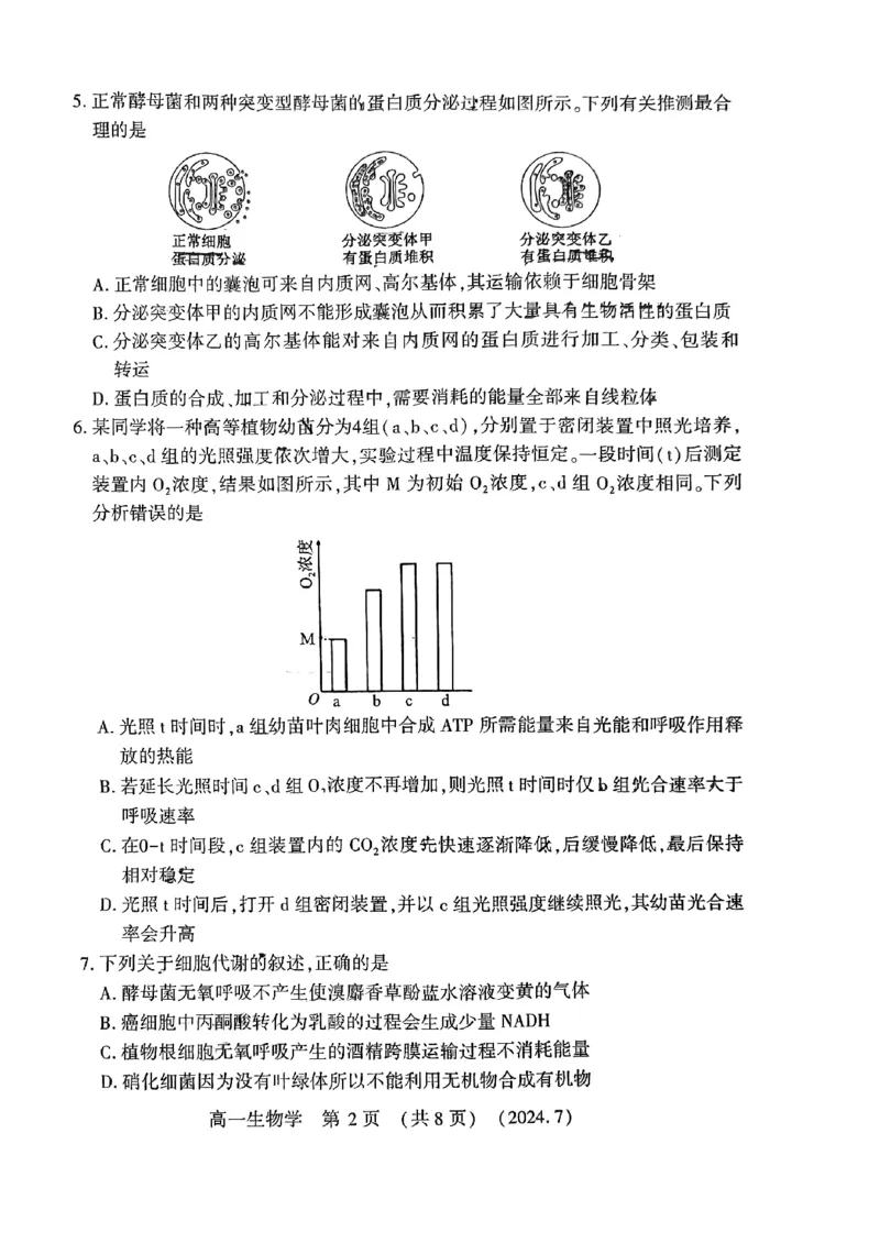 洛阳市2023-2024下学期期末高一生物试卷_2024-2025高一（7-7月题库）_2024年7月试卷_0729河南省洛阳市2023-2024学年高一下学期期末考试