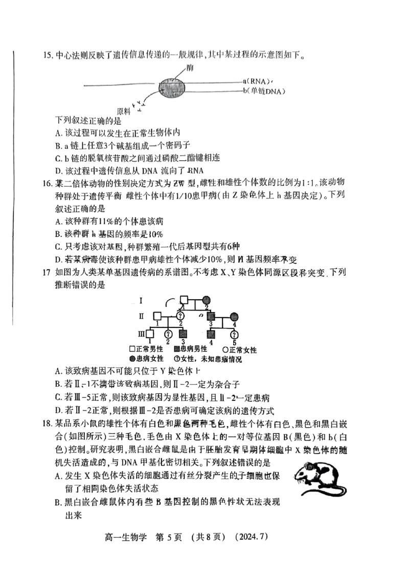 洛阳市2023-2024下学期期末高一生物试卷_2024-2025高一（7-7月题库）_2024年7月试卷_0729河南省洛阳市2023-2024学年高一下学期期末考试