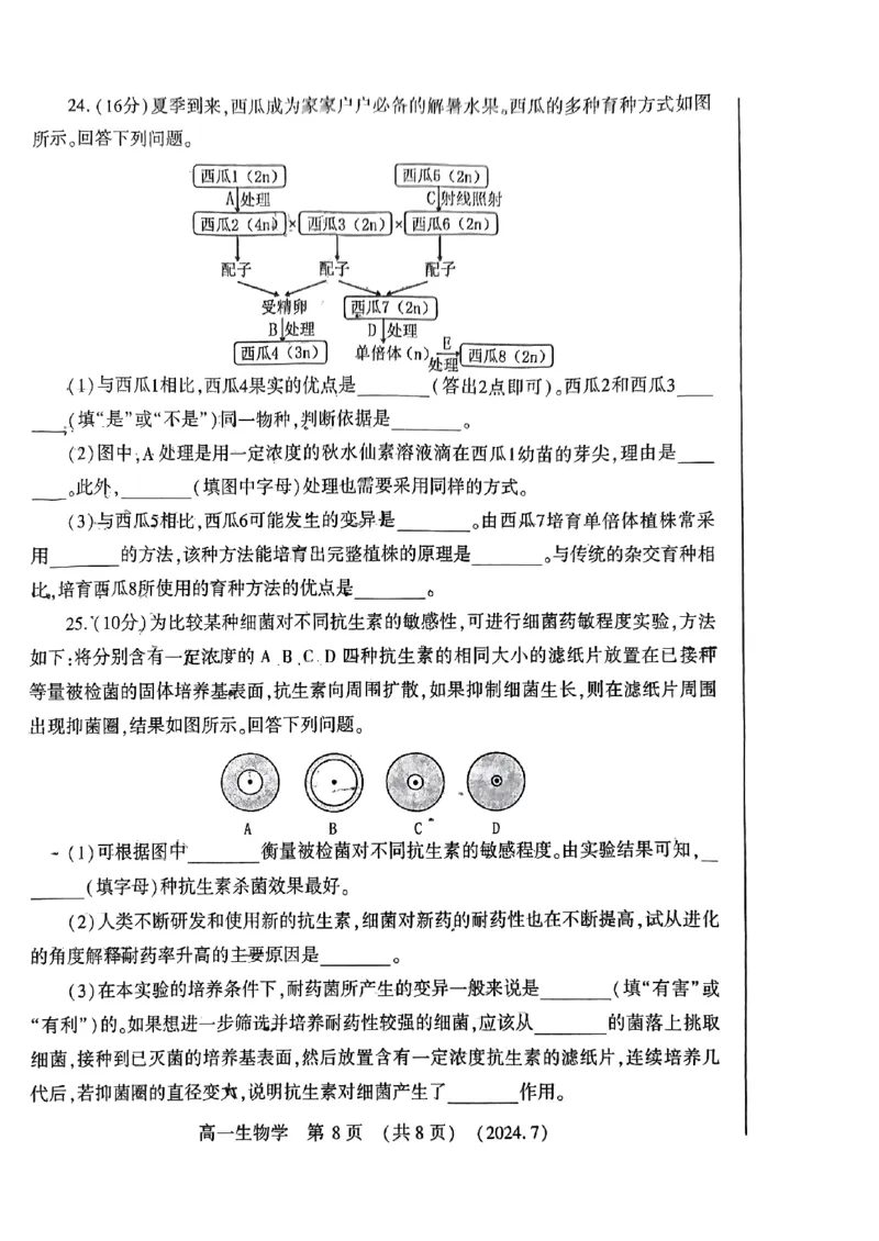 洛阳市2023-2024下学期期末高一生物试卷_2024-2025高一（7-7月题库）_2024年7月试卷_0729河南省洛阳市2023-2024学年高一下学期期末考试