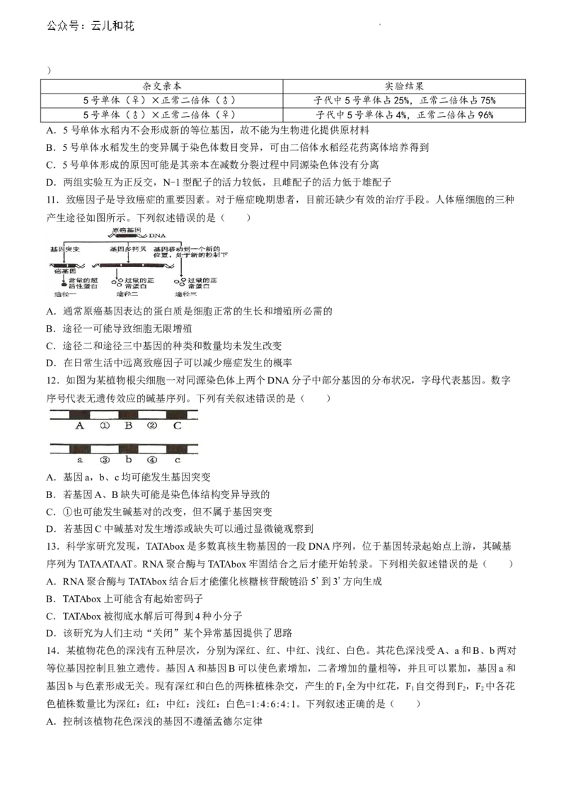 黑龙江省齐齐哈尔市2023-2024学年高一下学期7月期末生物试题_2024-2025高一（7-7月题库）_2024年8月试卷_0820黑龙江省齐齐哈尔市2023-2024学年高一下学期期末质量检测